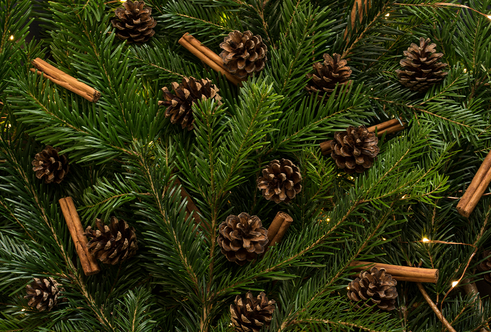 UKDP_Christmas Header V2 (1000x677px).jpg UKDP_Christmas Header V2 (1000x677px).jpg